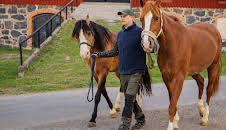 Svenske bønder (S1 E3)