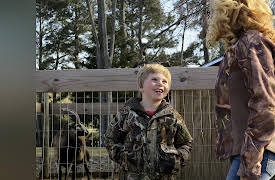 Our Wild Life Season 1: Birds and the Bees