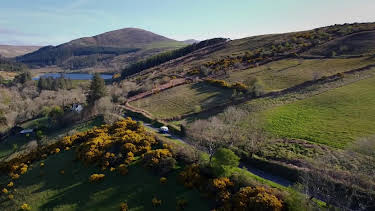 16:00: Antiques Road Trip (S25 E13) (S25) | TV6 | 3/27 2026