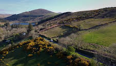 Antiques Road Trip (S25 E13)