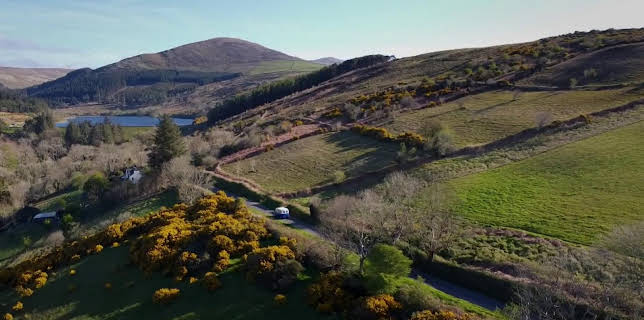 15:30: Antiques Road Trip (S25 E13) (S25) | TV8 | 12/19 2025