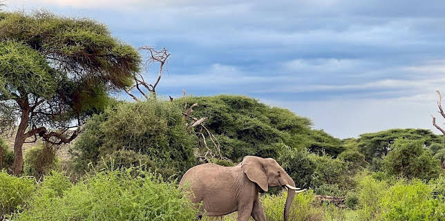 17:15: Afrikas Berge | SR Fernsehen | 12/27 2025