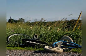 The Hunt With John Walsh: Justice Denied