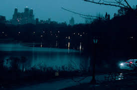 Homicide: East Harlem Serial Killer