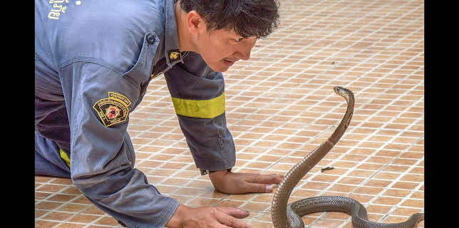 05:55: GEO Reportage | Arte | 1/30 2026