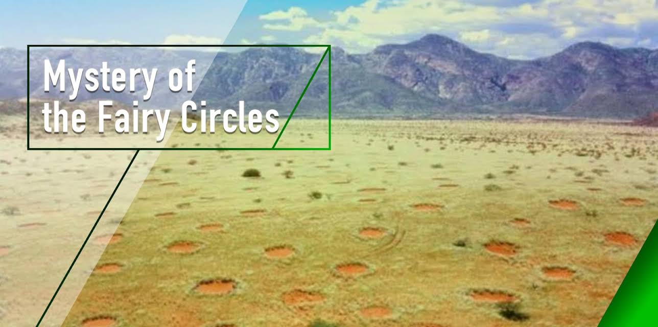 Mystery of the Fairy Circles (2011)