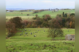 It's A Vet's Life: Episode 8