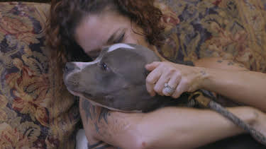 14:00: Pit Bulls & Parolees (S9 E15) (S9) | Animal Planet | 4/3 2026