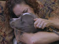Pit Bulls & Parolees
