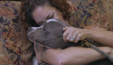 Pit Bulls & Parolees (S9 E15)