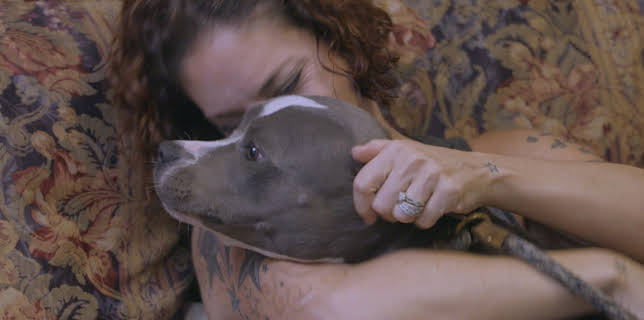 15:00: Pit Bulls & Parolees (S9 E15) (S9) | Animal Planet | 11/11 2025