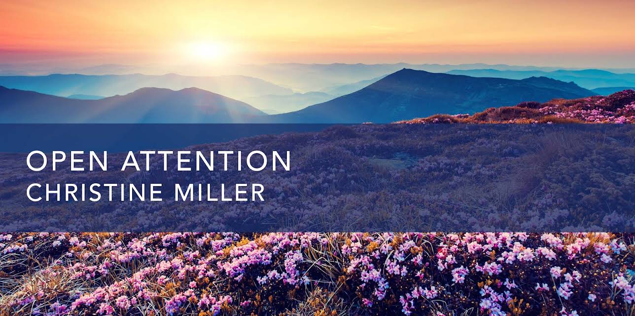 Open Attention (2023)