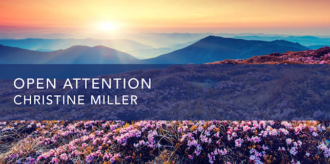 Open Attention (2023)