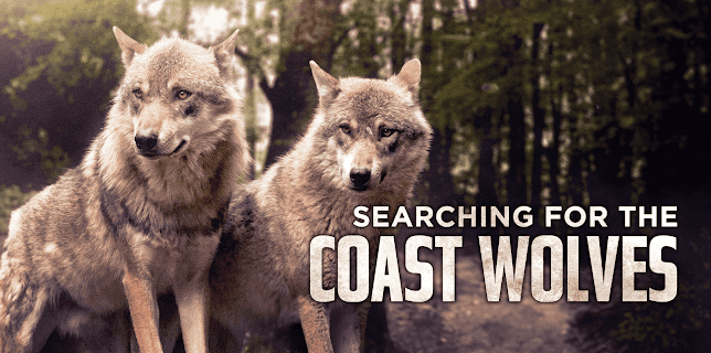 Searching For The Coast Wolves (2006)