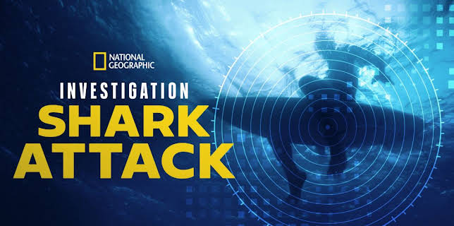 Investigation Shark Attack