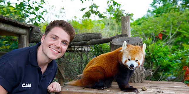 12:35 PM: One Zoo Three (S1) | CBBC | 11/20 2025