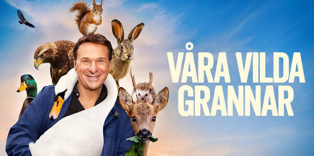 21:00: Våra vilda grannar | SVT1 | 12/4 2025