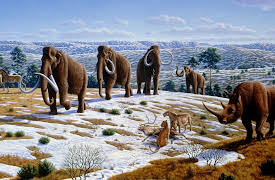 Big History: The Big Bang, Life on Earth, and the Rise of Humanity: Change in the Paleolithic Era