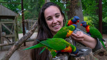 9:30 AM: Animal Park | BBC One Wales | 7/27 2026