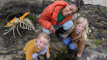 1:15 PM: Teeny Tiny Creatures (S3) | Cbeebies | 1/6 2026
