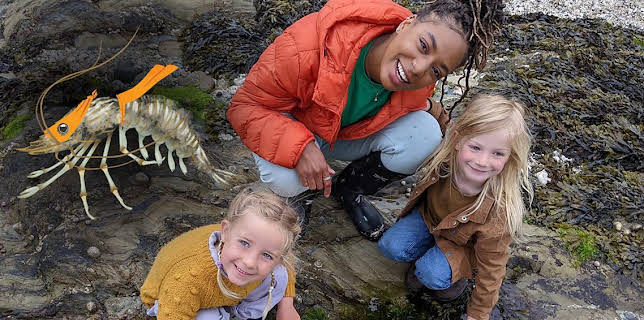 12:10 PM: Teeny Tiny Creatures (S3) | Cbeebies | 11/10 2025