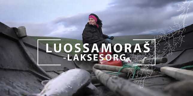 10:20: Laksesorg – Luossamoraš | NRK 3 | 2/6 2026