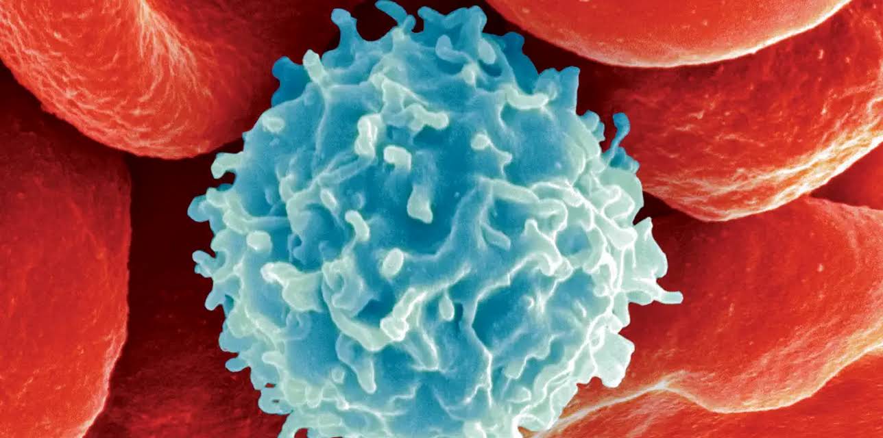 Peter Gabriel: New Blood - Live in London (2011)