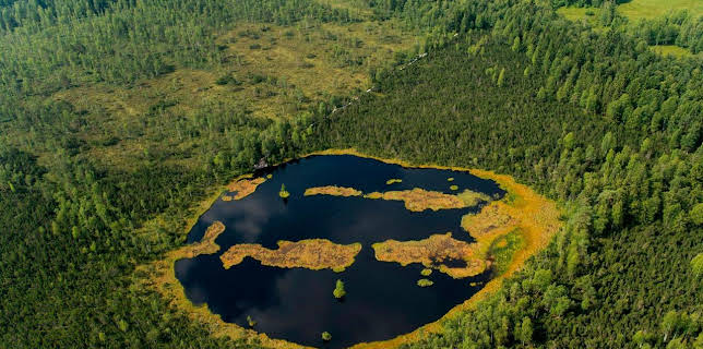 20:15: Das Moor | SWR Fernsehen BW | 11/2 2025