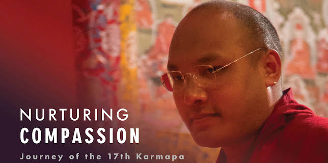 Nurturing Compassion (2017)