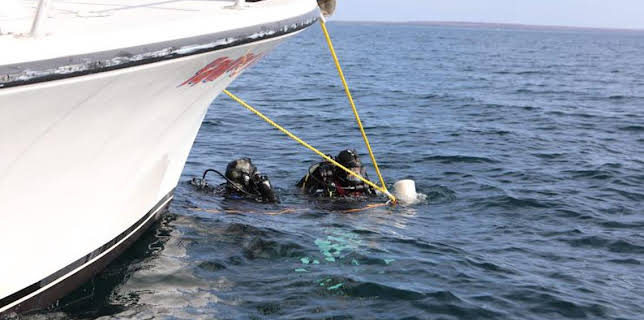 11:00 AM: Expedition X (S4) | Discovery Channel | 3/21 2026