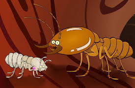 I'm a Creepy Crawly: Termite