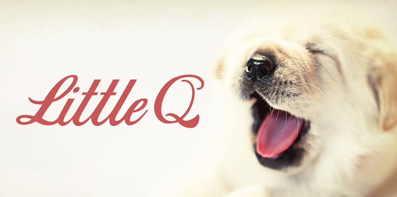 Little Q (2019)