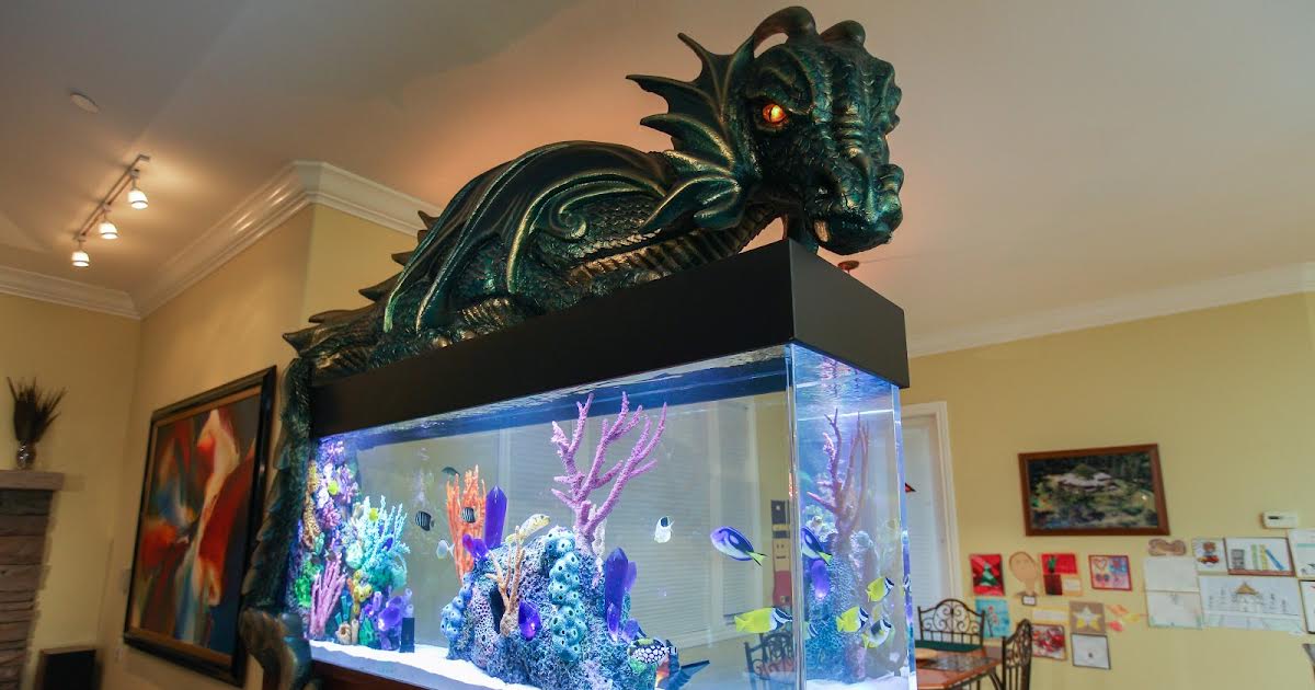 7/3 22:00 | Tanked på Animal Planet