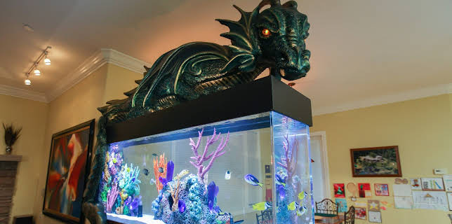 09:25: Tanked (S4 E11) (S4) | Animal Planet | 2/11 2026