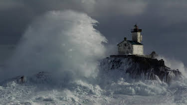 20:15: Expeditionen ins Tierreich | NDR Fernsehen | 4/8 2026