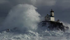 Expeditionen ins Tierreich