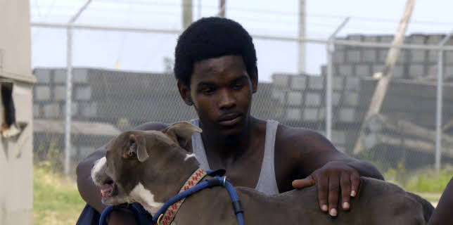 15:00: Pit Bulls & Parolees (S9 E19) (S9) | Animal Planet | 11/15 2025