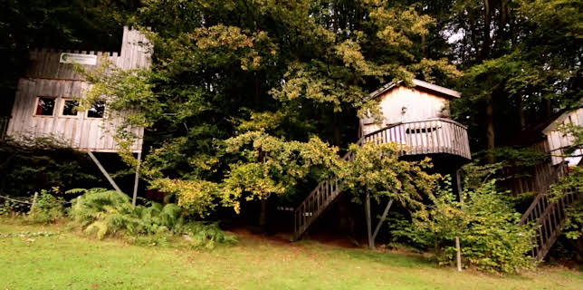 14:00: Treehouse Masters (S3 E11) (S3) | Animal Planet | 2/23 2026