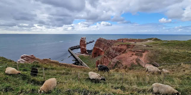 20:15: die nordstory - Neustart auf Helgoland | NDR Fernsehen | 11/28 2025