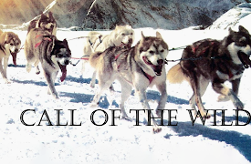 Call of The Wild: Episode 3 The Attack