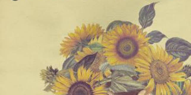 12:54: Girasols silvestres | Canal 33 | 1/25 2026