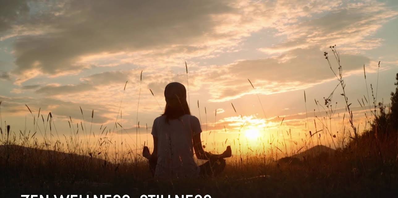 Zen Wellness: Stillness (2023)