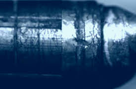 Exhibit A: Secrets of Forensic Science: Mystery Weapon