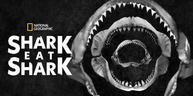 Shark Eat Shark (2023)