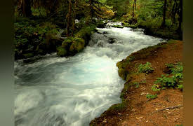 Xploration Awesome Planet: Ecosystems