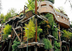 Documental Diseños Fabulosos