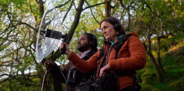 8:00 AM: Hamza's Hidden Wild Isles (S1) | BBC Two | 12/2 2025