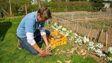 16:00: Rasch durch den Garten | Radio Bremen | 5/9 2026