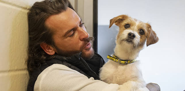 6:00 PM: Pete Wicks: For Dogs' Sake (S1 E4) (S1) | W | 11/30 2025