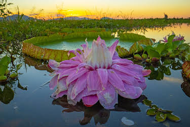 10:10: Unser grüner Planet | ZDFneo | 3/28 2026